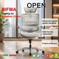 Chaise de bureau ergonomique en maille, inclinable, avec accoudoirs 3D et siège coulissant, idéale pour salle de conférence, certifiée BIFMA, vente chaude, achat professionnel direct usine