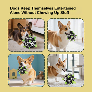 Durable <b>Bite</b> Resistant Dog Soccer Ball Interactive Pet Toy Football for Small Large Dogs Training & Boredom Relief - Product Image 4