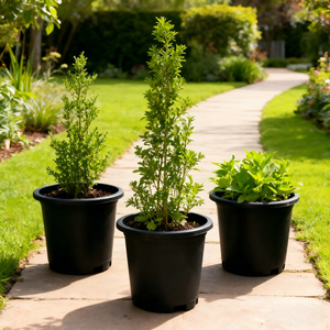 Vasos de Plástico de Alta Resistência para Atacado, Pretos, de 1, 2, 3, <span class=keywords><strong>5</strong></span>, 7, 10, 15, 20, 25 Galões, Vasos de Plástico para Viveiro por Injeção - Product Image 5