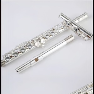 <span class=keywords><strong>Flauta</strong></span> de doble acción de 16/17 llaves, llave E, llave C, plateada, de grado <span class=keywords><strong>profesional</strong></span>, para exámenes, actuaciones y otros usos, suministro transfronterizo - Product Image 5
