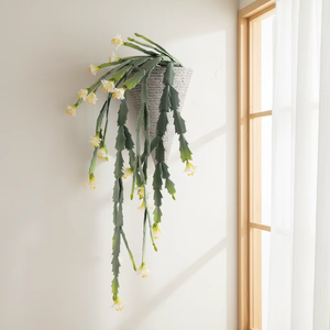 <span class=keywords><strong>Cactus</strong></span> Epiphyllum Artificiale da Parete <span class=keywords><strong>in</strong></span> Vaso Conico Intrecciato, Decorazione di Orchidea <span class=keywords><strong>Cactus</strong></span> Finta Pendente - Product Image 5