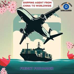 Agente de transporte chino tarifa de envío de <span class=keywords><strong>Nanjing</strong></span> Shanghai Zhejiang Shenzhen Yiwu a Japón DDP - Product Image 4
