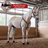 Bottes de thérapie infrarouge pour chevaux avec batterie rechargeable intégrée 660nm 850nm, fonction pulsée et minuterie (longueur d'onde personnalisée)