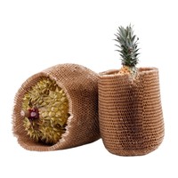 Housse en filet pour durian, sac en filet pour le transport du durian, protection antichoc, emballage en papier dégradable résistant aux rayures