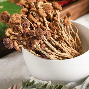 Aliment naturel et sain de haute qualité, Agrocybe <span class=keywords><strong>Aegerita</strong></span> de ferme - Product Image 1