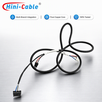 Câble d'alimentation OEM personnalisé à 6 broches noir vers connecteur double micro noir et blanc avec faisceau de câbles pour cartes de contrôle