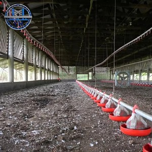 Gallinero Prefabricado Personalizado, Resistente a Terremotos, Establo para Ganado, Refugio para Animales, Estructura Metálica, Jaula de Acero para Aves de Corral - Product Image 3