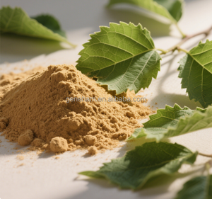 Органический 5% экстракт листьев тутового дерева, оптовая продажа, сертифицированный Халяль, конкурентоспособная цена, растительный экстракт - Product Image 3