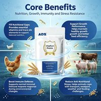 13 additifs alimentaires complexes de vitamines anti-stress, suppléments d'oligo-éléments et d'acides aminés, additifs pour l'alimentation du bétail, additifs pour l'alimentation de la volaille