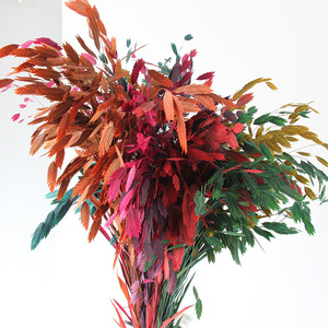 Ramos Decorativos Naturales de Flores Secas, Ramos de Hierba Floral, <span class=keywords><strong>Mar</strong></span> del Norte, Avena Conservada, Chasmanthium Latifolium, Flores Conservadas - Product Image 4