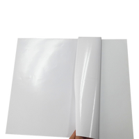 Película Adhesiva de PVC Imprimible en Rollos, Apta para Vinilos Decorativos, Películas para Automóviles y Fabricantes de Publicidad en Autobuses