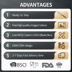 PISAU DAPUR PROFESIONAL 8 INCI BAJA DAMASCUS GAGANG KAYU ROSEWOOD PISAU DAPUR TAJAM HADIAH - Product Image 6