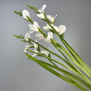 KEWEI 940 Gladiolus <span class=keywords><strong>Artificial</strong></span> Hojas Largas 5 Cabezas Gladiolus Faux Flower <span class=keywords><strong>Decor</strong></span> Hojas Verdes Flor - Product Image 5