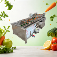 Industriële multifunctionele bubbelwasmachine met waterpomp voor de verwerking van groenten, fruit en noten