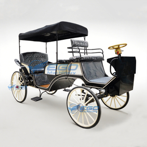Carroza Eléctrica Negra de Lujo Personalizable de Alta Calidad para Turismo, Bodas y Paseos al Aire Libre / Vagoneta para Recorridos al Aire Libre - Product Image 3