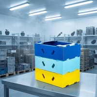 Caisse en plastique alvéolaire PP de 5 mm, 600x400x300 mm, protection UV, pour fruits, en PP ondulé, disponible en gros, OEM, ODM
