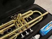 LTR-508L Wind Musical Instruments Bb Key Bullfighter Standard Surface Gold Lacquer Head Bakelite Brass Trumpet