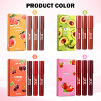 Ensemble de rouges à lèvres soyeux, couleur mate vibrante, non collant, hydratant, effet givré, vente en gros, étiquette privée, fabrication OEM