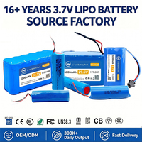 Pack de batteries 18650 personnalisé 11.1V 12V 3S2P 5000mAh 6000mAh pour enceinte Bluetooth