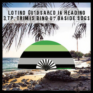 Abanico Plegable de Alta Calidad y Gran Sonido, Diseño Personalizado LGBT Arcoíris Orgullo, de Plástico de Alta Visibilidad - Product Image 3