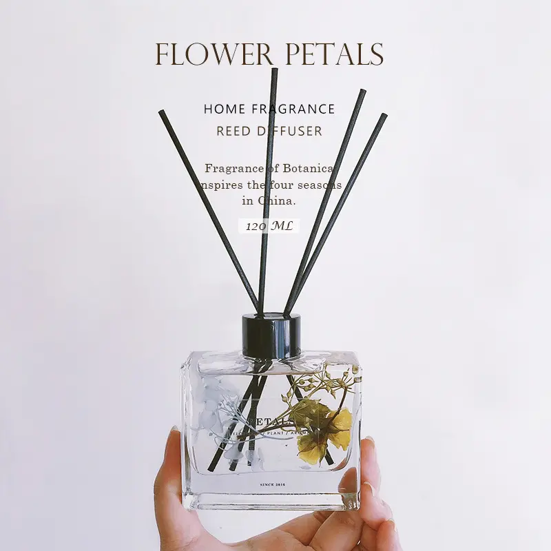 Wholesale Clear Aromatherapy Fragrance Jars Flat Square 50ml 120ml Glass Reed Diffuser Bottles