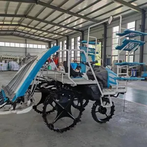 Mesin tanam beras penggunaan rumah produktivitas tinggi penanam baru dengan inti roda gigi pompa Motor mesin pencari Jalan untuk pertanian