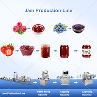 OCEAN Conservenmachine voor tomaten, productielijn voor tomatenpuree, 5 ton tomatensausmachine