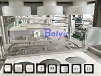 Ligne de production de nourriture frite multifonctionnelle Baiyu pour les galettes de hamburgers, les croquettes et le poulet frit