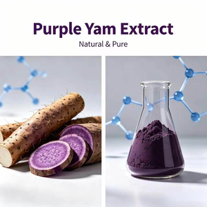 Polvere di Estratto di Radice di Dioscorea Alata (Ube) Viola delle Filippine, <span class=keywords><strong>Naturale</strong></span> e di Grado Alimentare, per Integratori Alimentari - Product Image 3