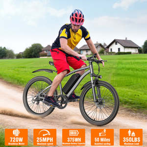 Bicicleta Eléctrica Todoterreno, Velocidad Máxima 25 km/h, Motor de Litio sin Escobillas de 36 V y 250 W, Bicicleta Eléctrica de Montaña para Adultos, Impermeable, 50-60 Nm - Product Image 3