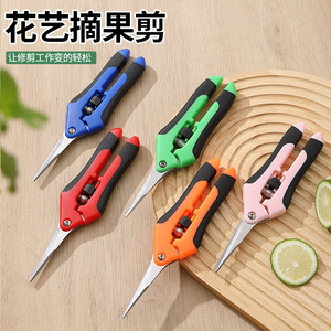 Sécateur manuel Pinheng en acier inoxydable 10-20 mm pour la taille des arbres fruitiers et légumes - Product Image 5