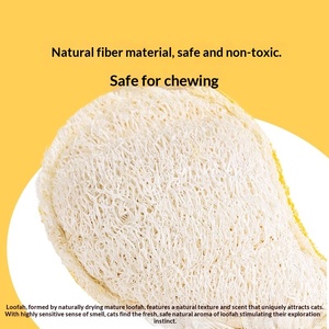 ของเล่นแมว <span class=keywords><strong>ลูก</strong></span>บอลใยบวบทำความสะอาดฟัน ช่วยบรรเทาความเครียด ไม้ล่อแมวแบบอัตโนมัติ ทนทานต่อการกัด เหมาะสำหรับแมวหลายตัว - Product Image 4