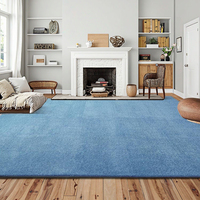 Tapis écologiques Dsemer Colour pour salon, tapis de grande taille pour salle à manger, tapis sur mesure