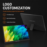 Écran externe portable personnalisable de 15,6 pouces FHD 1080P IPS Type C Mini pour Xbox Ps5 Switch Gaming Laptop