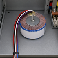 Transformateur toroïdal basse fréquence 220V vers 110V certifié CE, alimentation électrique propre pour système audio HiFi et éclairage