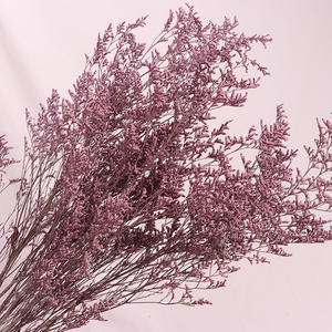 Vente en gros Fleurs conservées pour décoration intérieure <span class=keywords><strong>Desmodium</strong></span> <span class=keywords><strong>Gyrans</strong></span> Herbe de Saint-Valentin pour Noël Thanksgiving Nouvel An chinois - Product Image 6