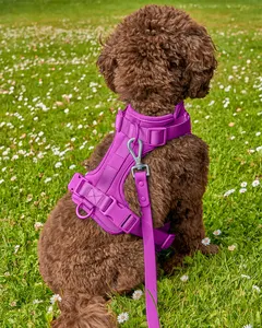 Tali kekang keselamatan hewan peliharaan Logo kustom XL dapat diatur lapisan udara empuk lembut karet tali leher anjing logam plastik