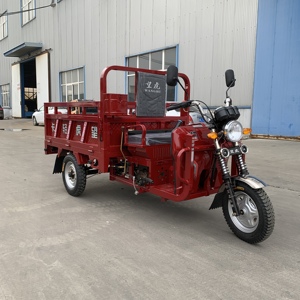 Tricycles motorisés à essence 2025, modèle 2025, très demandés sur le marché mondial, grand cabriolet à carrosserie ouverte, <span class=keywords><strong>tuk</strong></span>-<span class=keywords><strong>tuk</strong></span> de livraison - Product Image 5