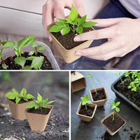 Pots de pépinière de tourbe carrés de jardin extérieur biodégradables pour la germination des graines d'herbes et la pépinière de plantes