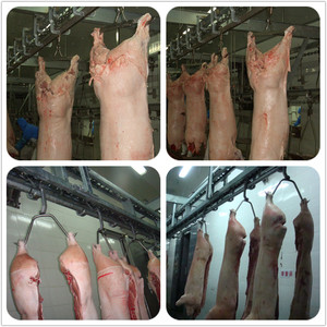 Equipo completo de <span class=keywords><strong>matadero</strong></span> de cerdo de fábrica para un <span class=keywords><strong>matadero</strong></span> eficiente de cerdos - Product Image 2