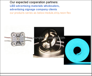 6mm/8mm PCB SMD2835 flexible light <b>strips</b> are used for ultra-thin illuminated characters signs - Product Image 4