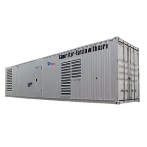 Générateur électrique Diesel 60Hz, 1 mètre SWT 1000kva, prix de plante avec boîte de conteneur