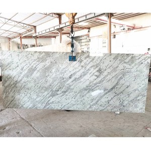 Goldtop tùy chỉnh Andromeda nhập khẩu trắng Granite slab thiết kế hiện đại đánh bóng tường và sàn gạch - Product Image 4