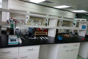 Großhandel Custom ize Label Bio-Öl Orgenao Cold Press Schwarzkümmel öl für <span class=keywords><strong>Massage</strong></span> Kosmetik - Product Image 4