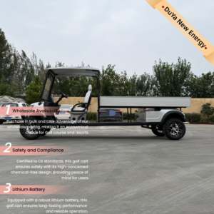 नवीनतम फ्रंट फेस फैशन डिजाइन 72v 2-सीट क्लब गोल्फ कार आरामदायक 2-व्यक्ति लिथियम बैटरी इलेक्ट्रिक मिनी कार थोक - Product Image 4