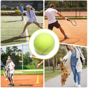 Professional Tennis Team Sport Willson Tennis Ball Environmental Protection Material Fiber Felt Surface Cricket Ball Tennis