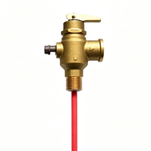 Valvole di sicurezza manuali Carp Journey per il controllo della temperatura (TP/TPR) per sistemi ad acqua calda - Product Image 1
