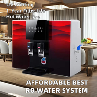 Système de filtration d'eau par osmose inverse électrique, filtration en 5 étapes, montage mural, fonction eau chaude, plastique, utilisation hôtelière, marque Wellblue