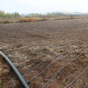 Ligne goutte à goutte d'irrigation automatique PE 16mm avec émetteur plat <span class=keywords><strong>2L</strong></span> ruban goutte à goutte pour système d'irrigation goutte à goutte - Product Image 3