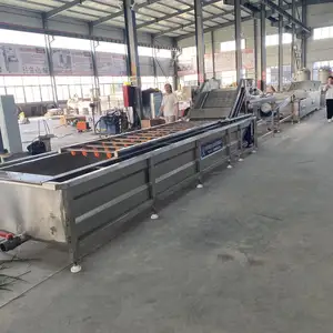 TCA CE Certified High Quality Frozen Green Peas Processing Line with Fryer New Food Sterilizer for Frozen Vegetables